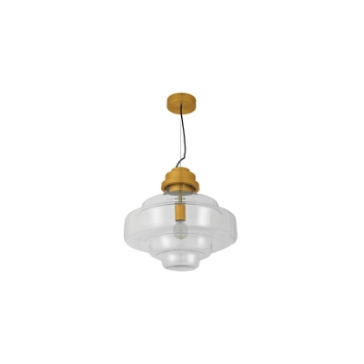 Picture of 1 Light Clear Glass Pendant Light