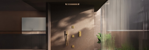Shower Design Ideas