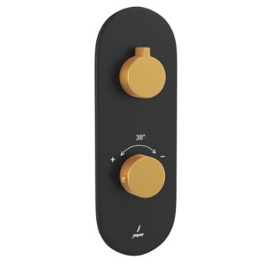 Picture of Aquamax Thermostatic Shower Mixer- Lever: Gold Matt PVD | Body: Black Matt