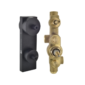 Picture of Aquamax In-wall Body of Thermostatic Shower Mixer