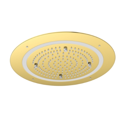 Picture of Duoflo Shower Round Shape - Gold Bright PVD