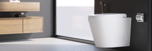 Rim vs Rimless Toilet Seat