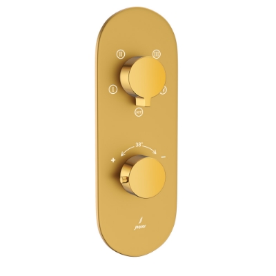 Picture of Aquamax Thermostatic Shower Mixer - Lever: Gold Bright PVD | Body: Gold Matt PVD