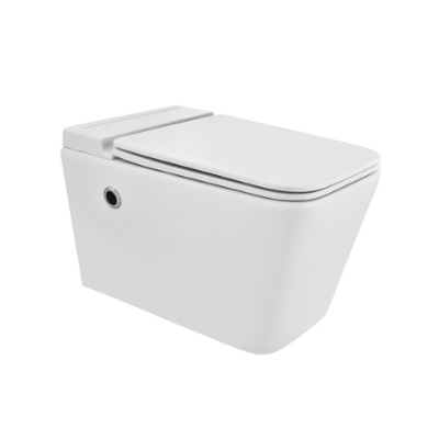 Picture of Tankless Wall Hung WC