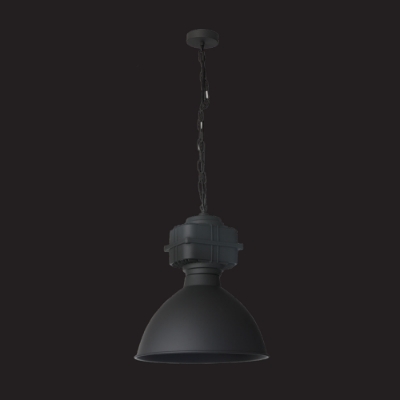 Picture of 1 LT industrial style  Pendant