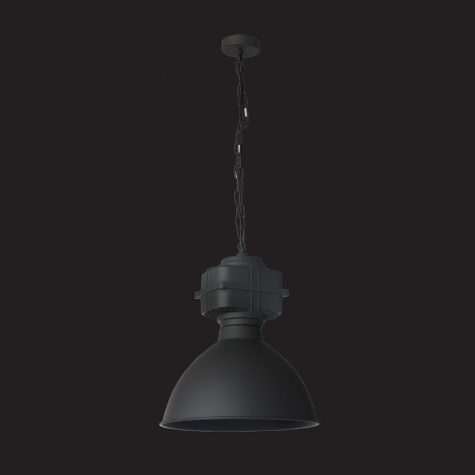 Picture of 1 LT industrial style  Pendant